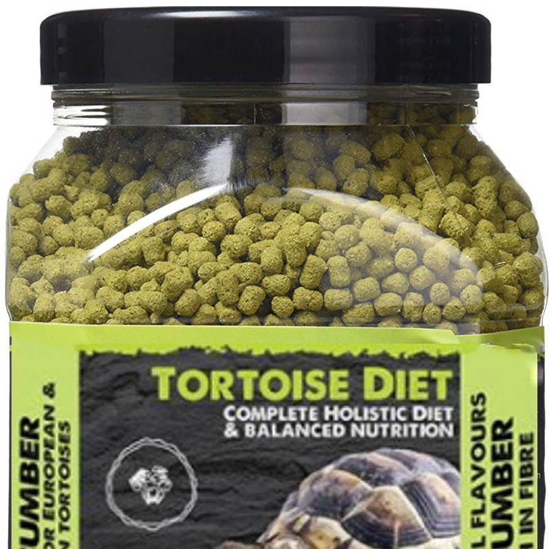 Dieta della Tartaruga di Komodo Cetriolo 680g