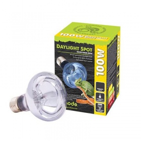 Komodo Daylight 50W verwarmingslamp