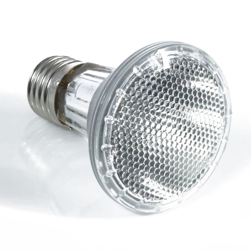 Komodo Halogen 50W soojuslamp