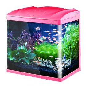 SunSun HR-230 Aquarium Set in Roze