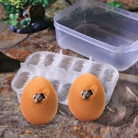 Terrario EggIncubator - inkubátor na vejce