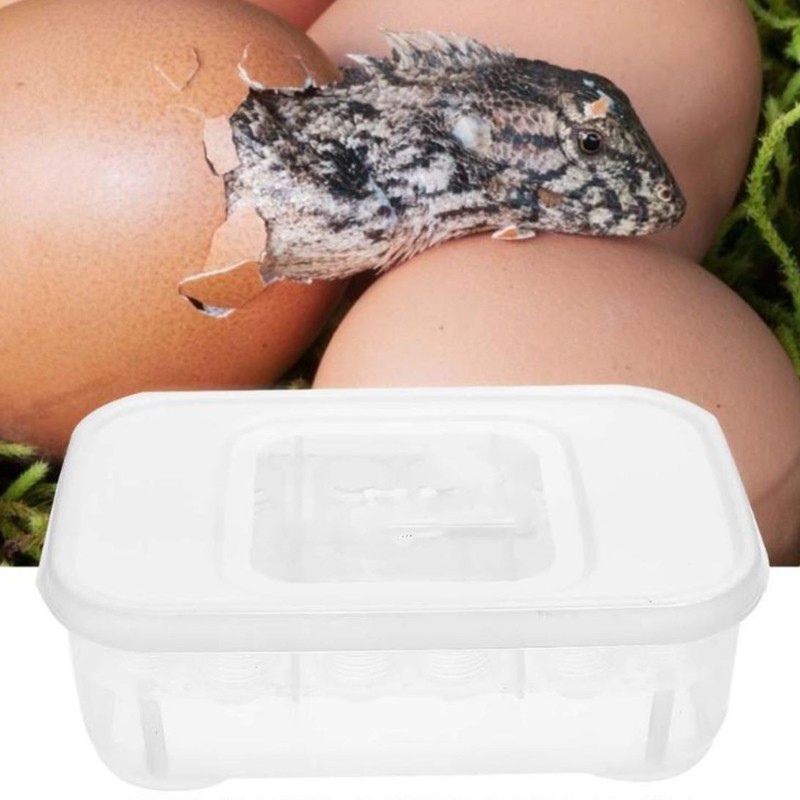 Terrario EggIncubator - inkubátor na vejce