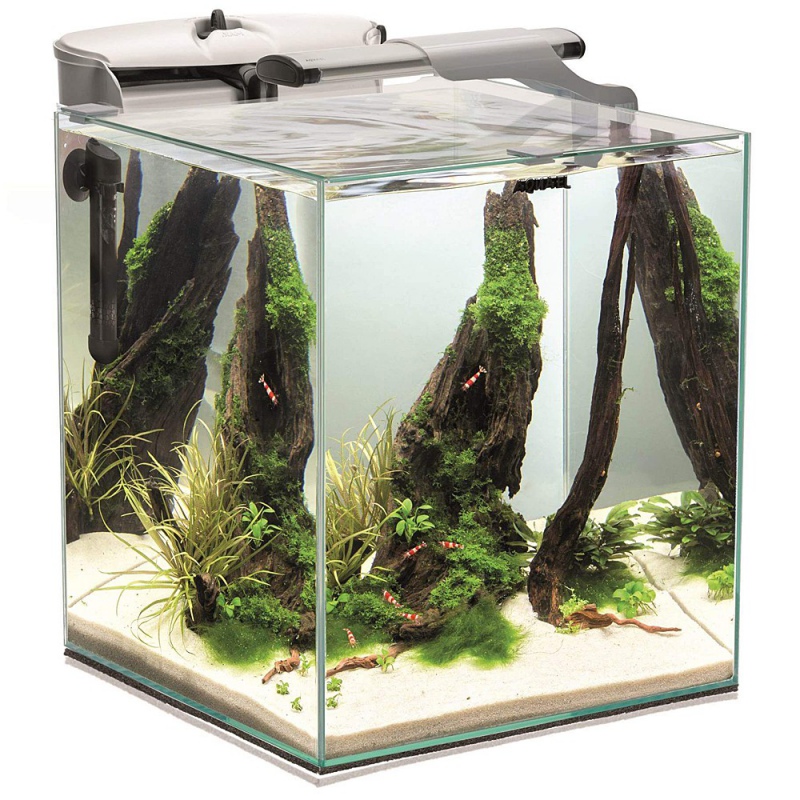 Aquael Fisch Garnelen Set DUO 35 - 49l Aquarium Set