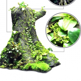 Plante de Forêt Tropicale en Coton 590x440mm