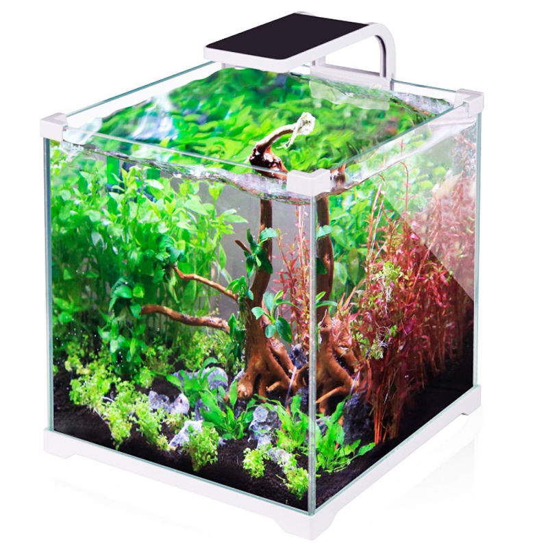 SunSun O!-LED Aqua 10L akvaario