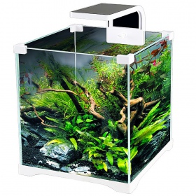 SunSun O!-LED Aqua Aquarium-Set 10l für jeden Raum