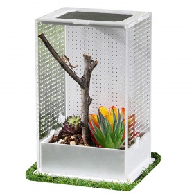 Repti-Zoo Mantis Box L - terrarium akrylowe dla modliszek