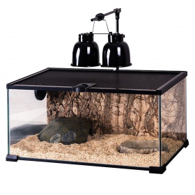 Repti-Zoo terrario Simple Habitat 31x31x20