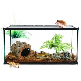 Repti-Zoo Eenvoudig Habitattarium 31x31x20