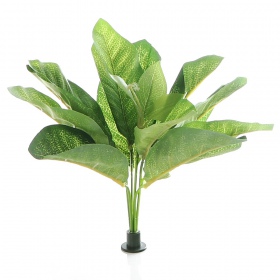 Bello Plant - Frog Houseplant XL Taim