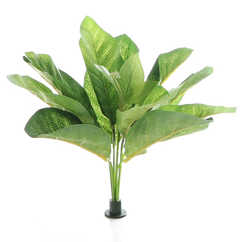 Bello Plant - Frog Houseplant em Jardim 3D