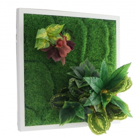 Bello Plant - Frog Houseplant em Jardim 3D