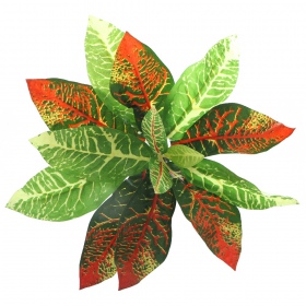 Bello Plant - Flame GreenPlant em ambiente moderno