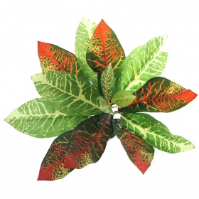 Bello Plant - Flame GreenPlant - XL растение