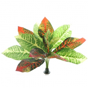 Bello Plant - Flame GreenPlant - XL растение