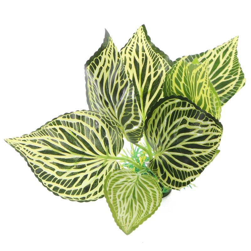 Planta Randy Green para tu Jardín 3D