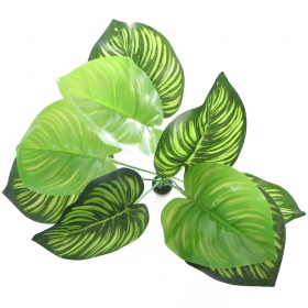 Bello Plant - Groene Harten - 3D interieurdecoratie