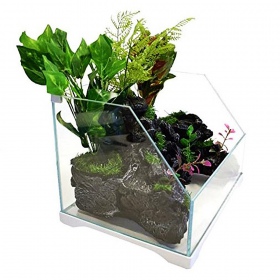 SunSun Aqua Paludarium 30L - Conjunto Completo