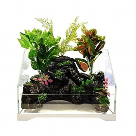 SunSun Aqua Paludarium 30 л