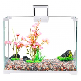 SunSun O!-LED Aqua 25L Akvariesett