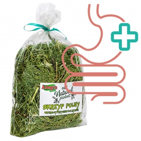 Alegia - skrzyp polny 70g