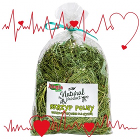 Alegia - skrzyp polny 70g