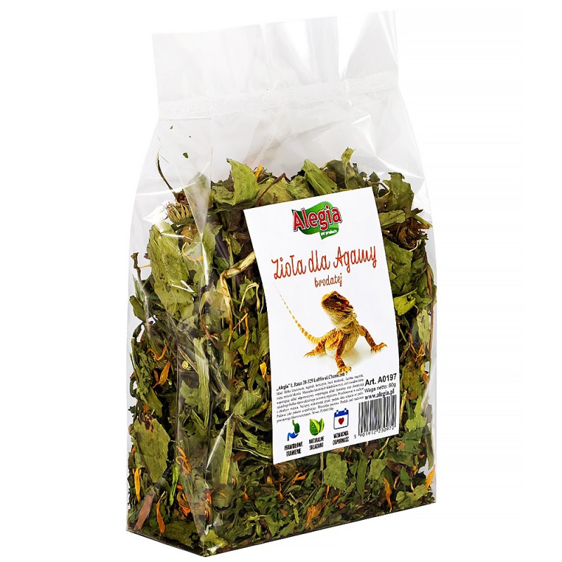 Alegia Erbe per Drago Barbuto 80g