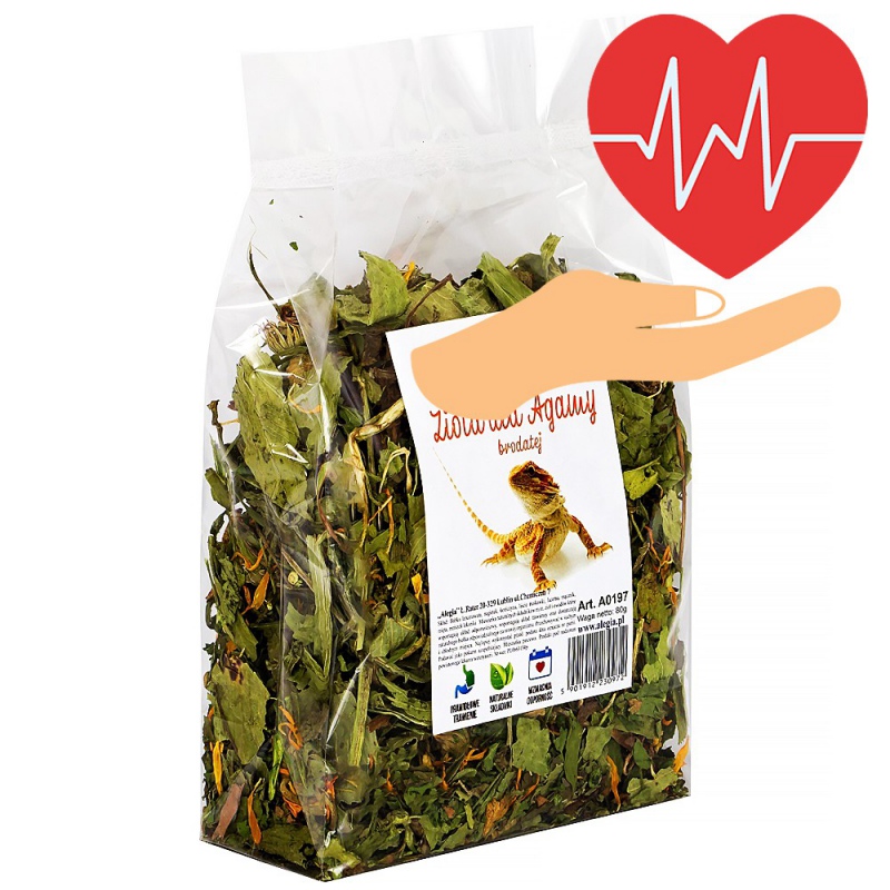 Alegia Erbe per Drago Barbuto 80g