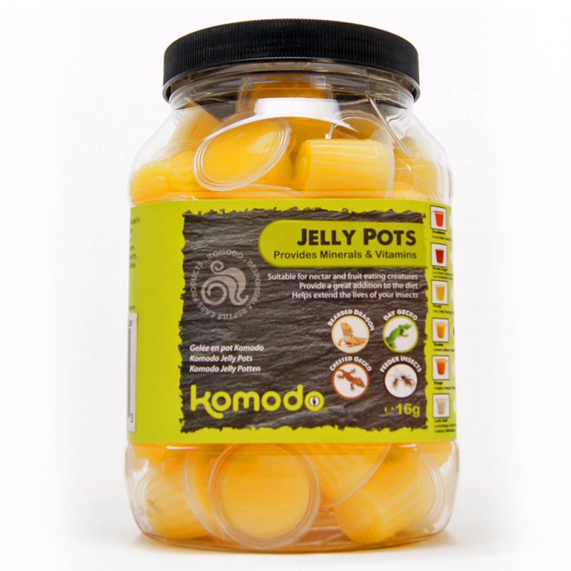 Komodo Jelly Pot Classic - hüllőknek és rovaroknak