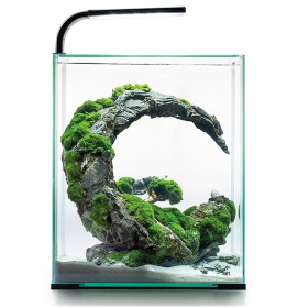 Aquael Shrimp Set Tag & Nacht 30L Aquarium Set