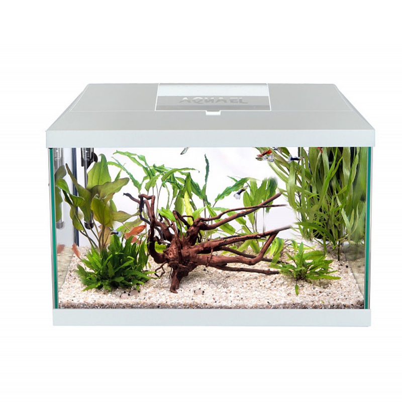 Aquael Leddy 40 aquariumset in wit