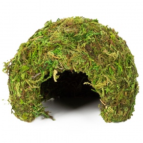 Repti-Zoo Natural Mossy Dome S  - kryjówka z mchu