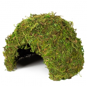 Repti-Zoo Natural Mossy Dome M