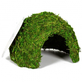 Repti-Zoo Natural Mossy Dome M