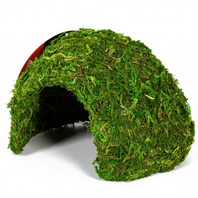 Repti-Zoo Natural Mossy Dome M