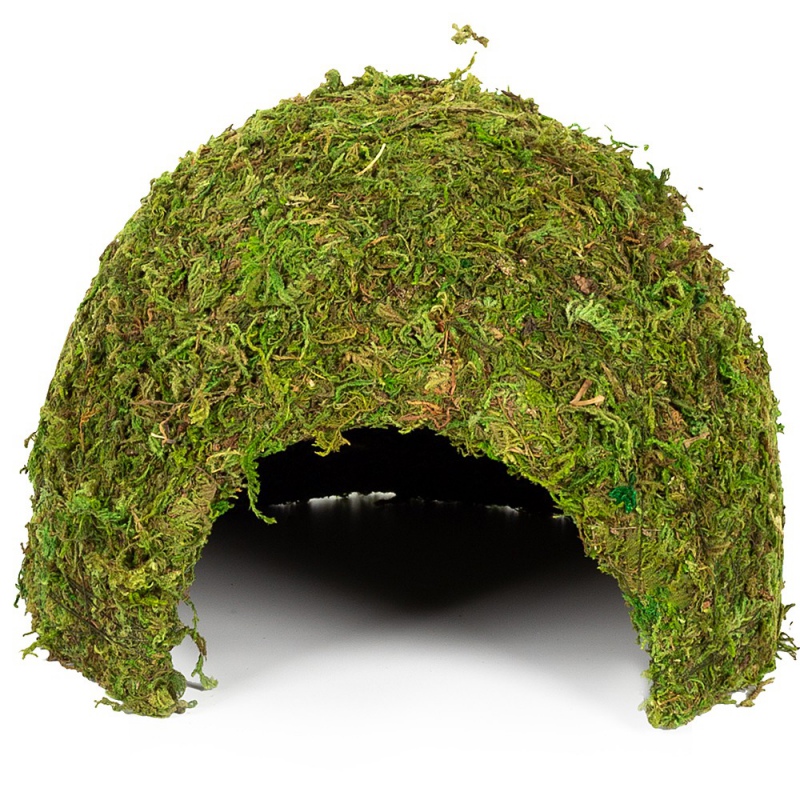 Repti-Zoo Natural Mossy Dome L