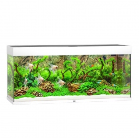 Acquario Juwel Rio 240 LED in bianco