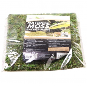 Repti-Zoo Natural Moss Back&Bottom - tło i podłoże z mchu 20x20cm