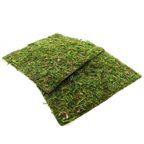 Repti-Zoo Natural Moss Back&Bottom - tło i podłoże z mchu 20x20cm