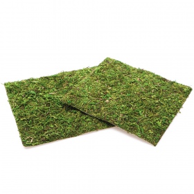 Repti-Zoo Natural Moss Back&Bottom - tło i podłoże z mchu 20x20cm