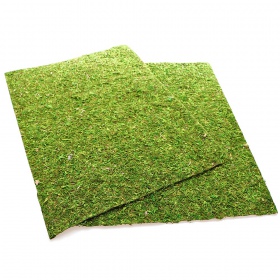 Repti-Zoo Natural Moss Back&Bottom - tło i podłoże z mchu 20x30cm