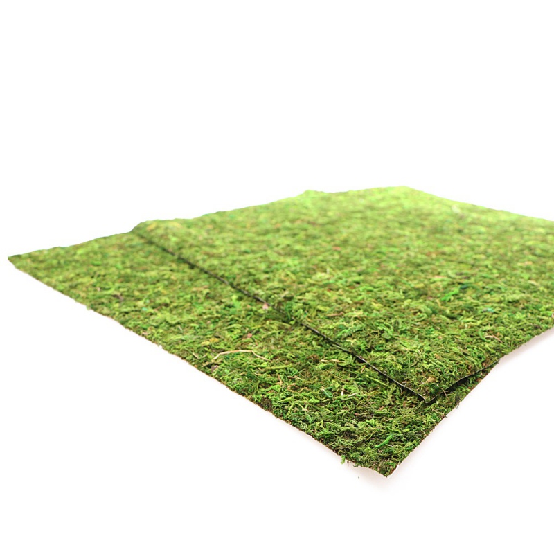 Repti-Zoo Natural Moss Back&Bottom - tło i podłoże z mchu 45x45cm