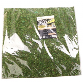 Repti-Zoo Natural Moss Back&Bottom - tło i podłoże z mchu 45x45cm