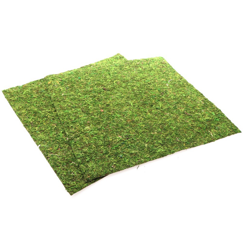 Repti-Zoo Natural Moss Back&Bottom - tło i podłoże z mchu 45x45cm