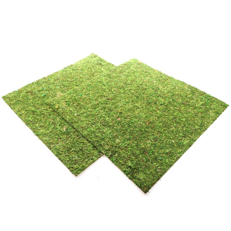 Repti-Zoo Natural Moss Back&Bottom - tło i podłoże z mchu 45x45cm