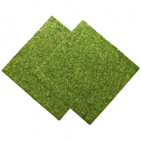 Repti-Zoo Natural Moss 45x45cm