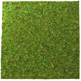 Repti-Zoo Natural Moss 45x45cm