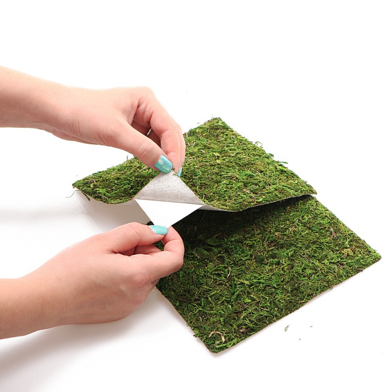 Repti-Zoo Natural Moss Back&Bottom - tło i podłoże z mchu 45x45cm