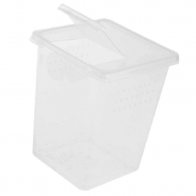 Terrario Insect Box high - plastikowe terrarium 9x9x11cm