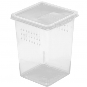 Terrario Insect Box High - muovinen